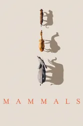 Mammals (2024)