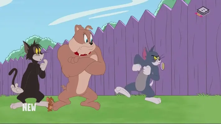 The Tom and Jerry Show (Phần 3) The Tom and Jerry Show (Phần 3)